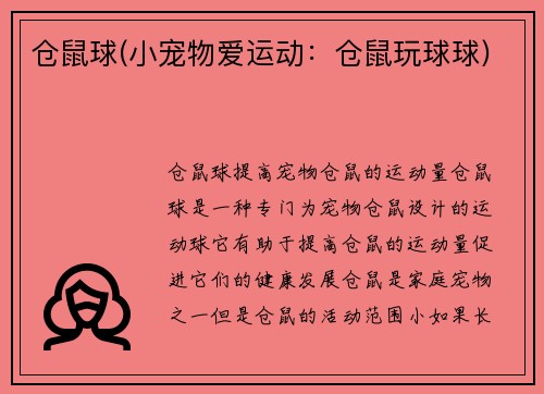 仓鼠球(小宠物爱运动：仓鼠玩球球)